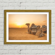 Load image into Gallery viewer, Camel in Sahara Desert at Sunset