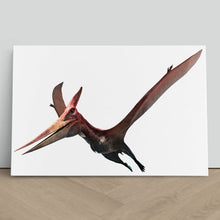 Load image into Gallery viewer, Pteranodon Flying Dinosaur