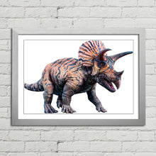 Load image into Gallery viewer, Triceratops Dinosaur