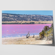 Load image into Gallery viewer, Pink Lake Beach Gregory