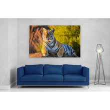 Load image into Gallery viewer, Tiger Big Cat Sitting