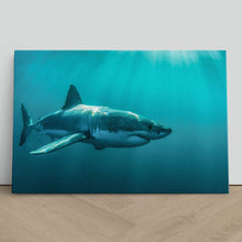 Load image into Gallery viewer, Great White Shark Jaws
