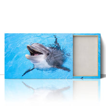 Load image into Gallery viewer, Dolphin Smiling Cute