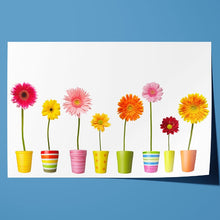 Load image into Gallery viewer, Flower Pots and Daisy Colours
