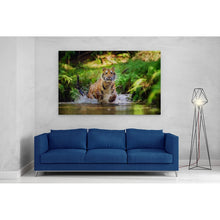Load image into Gallery viewer, Siberian Tiger Running in Water