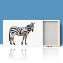 Load image into Gallery viewer, Zebra Staring Close Up