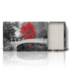 Load image into Gallery viewer, Red Tree Central Park Bridge New York