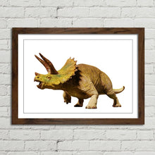 Load image into Gallery viewer, Triceratops Dinosaur Reptile