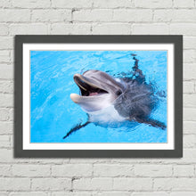 Load image into Gallery viewer, Dolphin Smiling Cute