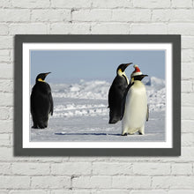 Load image into Gallery viewer, Penguins at Christmas Arctic Santa Hat