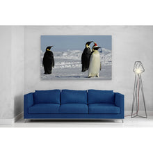 Load image into Gallery viewer, Penguins at Christmas Arctic Santa Hat