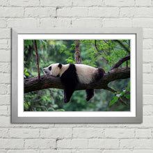 Load image into Gallery viewer, Sleeping Panda China