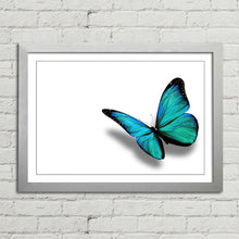 Load image into Gallery viewer, Turquoise Butterfly Nature