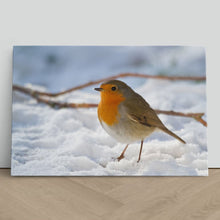 Load image into Gallery viewer, Robin Red Breast Winter Christmas Snow
