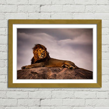 Load image into Gallery viewer, Lion King on Pride Rock
