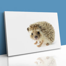 Load image into Gallery viewer, Hedgehog Close Up Selfie
