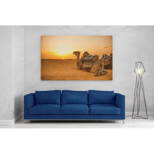 Load image into Gallery viewer, Camel in Sahara Desert at Sunset