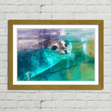 Load image into Gallery viewer, Spotted Seal Close Up