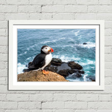 Load image into Gallery viewer, Atlantic Puffin on Cliff