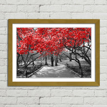 Load image into Gallery viewer, Red Trees Central Park New York