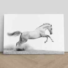 Load image into Gallery viewer, Stallion Horse Equestrian
