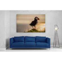 Load image into Gallery viewer, Atlantic Puffin in Mykines