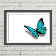 Load image into Gallery viewer, Turquoise Butterfly Nature