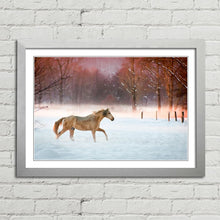 Load image into Gallery viewer, Horse Running in Snow