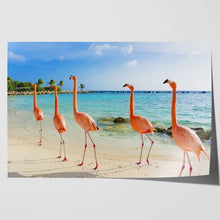 Load image into Gallery viewer, Flamingoes on Aruba Beach