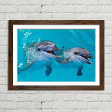 Load image into Gallery viewer, Smiling Dolphins Close Up
