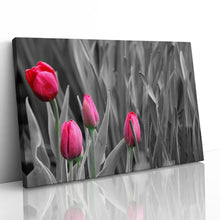 Load image into Gallery viewer, Pink Tulips in Black and White