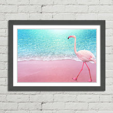Load image into Gallery viewer, Pink Flamingo on Beach Aruba