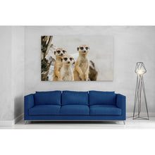 Load image into Gallery viewer, Meerkats Group Cute