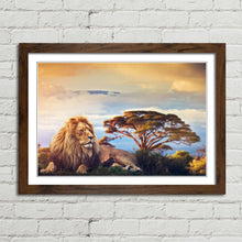 Load image into Gallery viewer, Lion near Mount Kilimanjaro