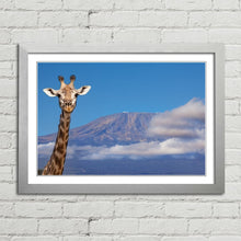 Load image into Gallery viewer, Giraffe near Mount Kilimanjaro