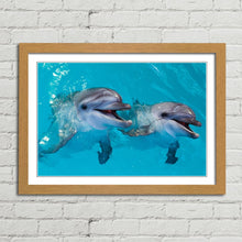 Load image into Gallery viewer, Smiling Dolphins Close Up