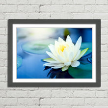 Load image into Gallery viewer, White Lotus Flower in Pond