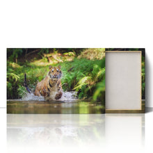 Load image into Gallery viewer, Siberian Tiger Running in Water