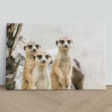 Load image into Gallery viewer, Meerkats Group Cute