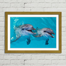 Load image into Gallery viewer, Smiling Dolphins Close Up