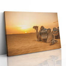 Load image into Gallery viewer, Camel in Sahara Desert at Sunset