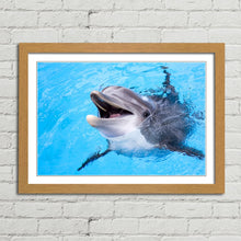Load image into Gallery viewer, Dolphin Smiling Cute