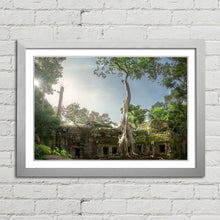 Load image into Gallery viewer, Ta Prohm Banyan Tree Angkor Wat