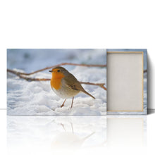 Load image into Gallery viewer, Robin Red Breast Winter Christmas Snow
