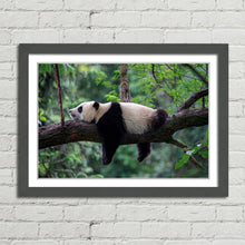 Load image into Gallery viewer, Sleeping Panda China
