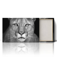 Load image into Gallery viewer, Puma Wild Cat