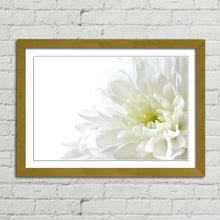 Load image into Gallery viewer, White Flower