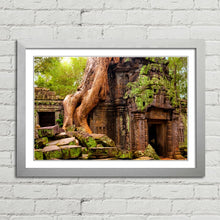 Load image into Gallery viewer, Ta Prohm Temple Cambodia