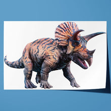 Load image into Gallery viewer, Triceratops Dinosaur