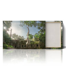 Load image into Gallery viewer, Ta Prohm Banyan Tree Angkor Wat